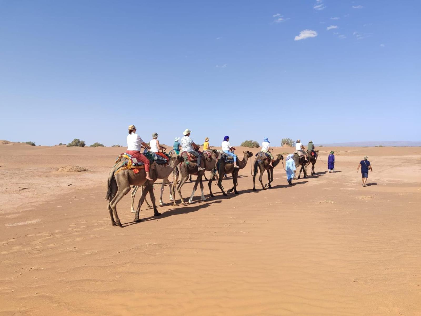 Desert Bivouac Mhamid Bagian luar foto