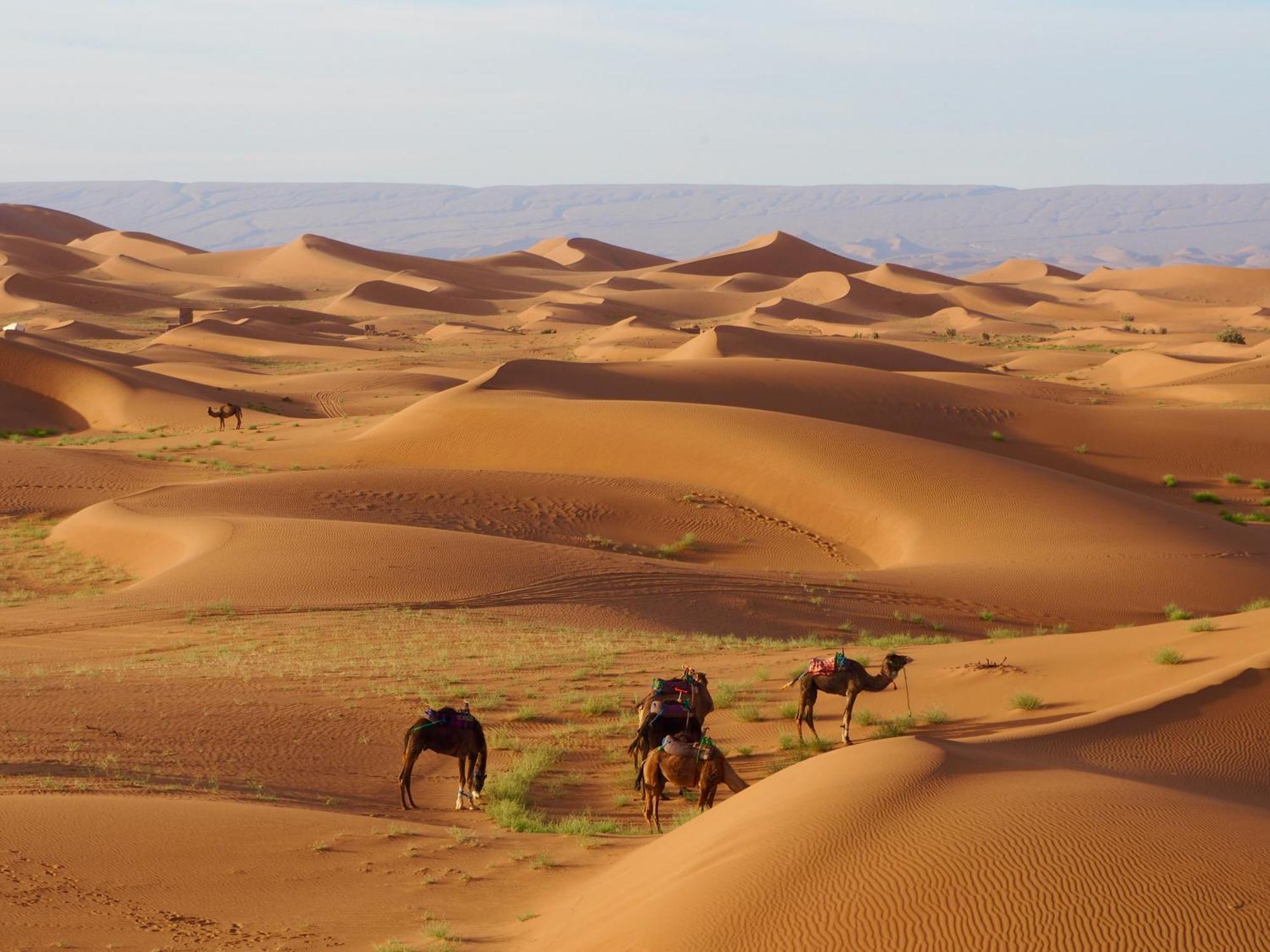 Desert Bivouac Mhamid Bagian luar foto