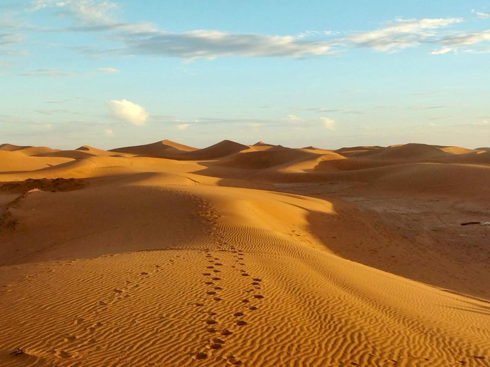 Desert Bivouac Mhamid Bagian luar foto